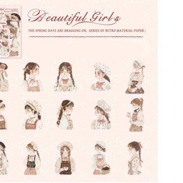 PET sticker pack Girl Theme 30PCS - Image 12