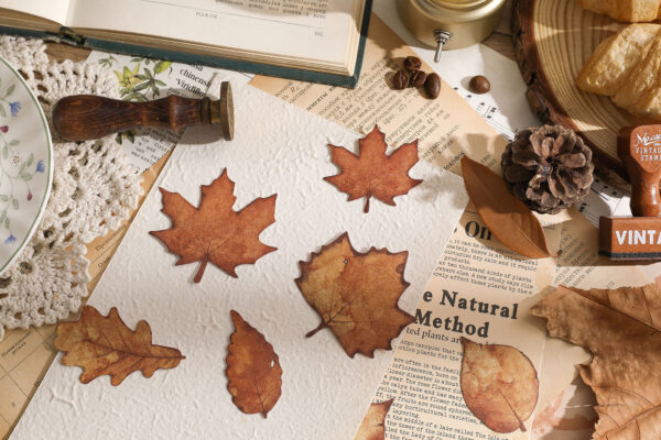 Sticker Pack Natural Boundless Fallen Leaves Specimen Theme 15PCS - Image 13
