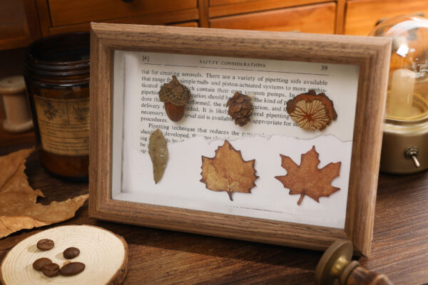Sticker Pack Natural Boundless Fallen Leaves Specimen Theme 15PCS - Image 15