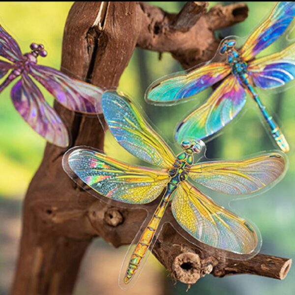 PET sticker pack Dragonfly series Colorful dragonfly theme 20 pieces