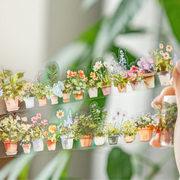 PET tape Long life series Life theme tape 2m