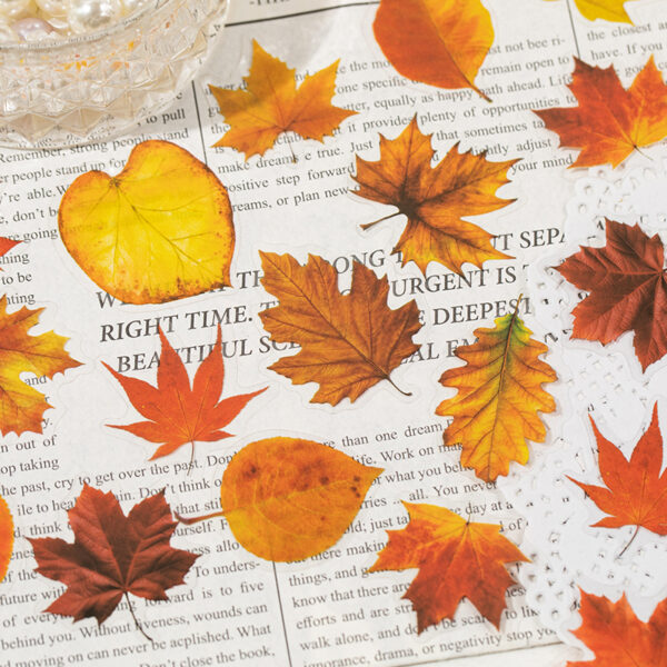 PET sticker pack Twenty-four Years of Dreams series Leaf theme 40 pieces
