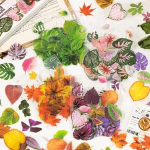 PET sticker pack Twenty-four Years of Dreams series Leaf theme 40 pieces