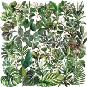 Vintage Green Leaves Theme Stickers 50pcs