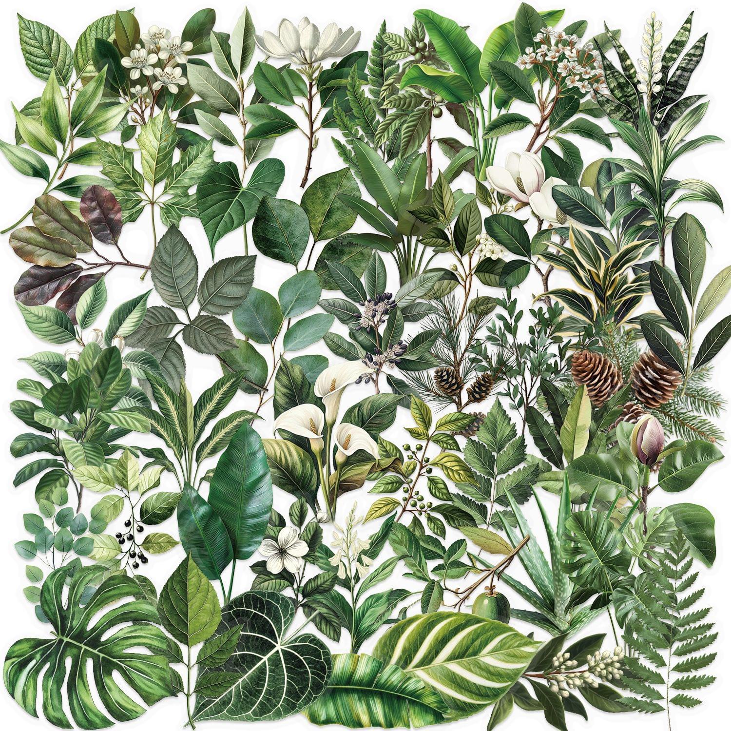 Vintage Green Leaves Theme Stickers 50pcs